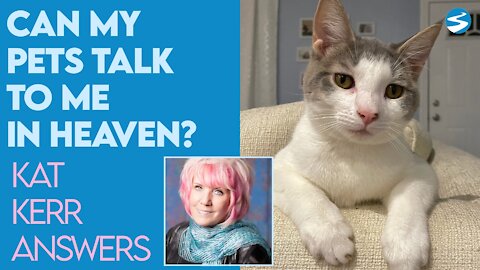 Kat Kerr Can My Pets Talk to Me in Heaven? | Jan 13 2021