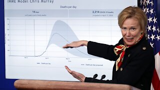 Dr. Birx: Trump Used Graphs I Didn't Make