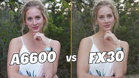 Sony A6600 vs FX30 For Photos