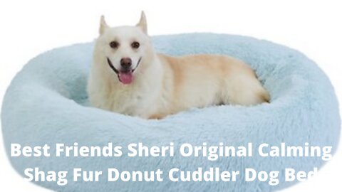 Best Friends Sheri Original Calming Shag Fur Donut Cuddler Dog Bed