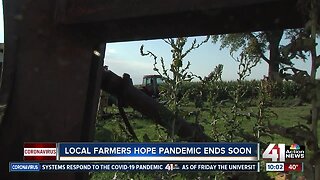 Local farmers hope pandemic ends soon