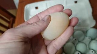 Woman unable to crack soft egg mystery