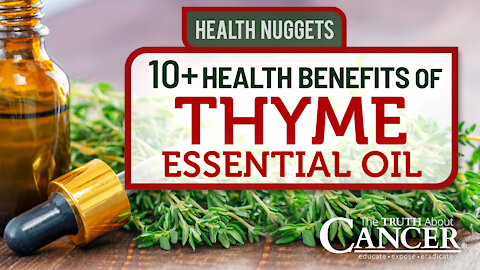 The Truth About Cancer: Health Nugget 26 - 10+ Health Benefits of Thyme Essential Oil