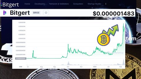 Bitgert BRISE (BRISE) $0.000001483