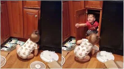 Bebês discutem para dividir armário em vídeo hilário!