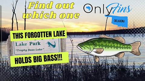 OnlyFins Bass Fishing Oklahoma