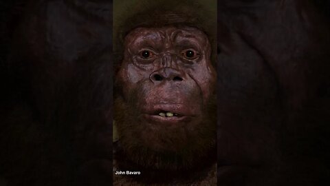 Evrimsel Bulmacanın Eksik Parçası: Homo naledi #shorts