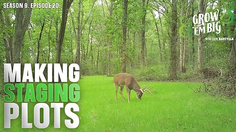 Create a Staging Plot to Intercept ‘Nocturnal’ Bucks During Daylight