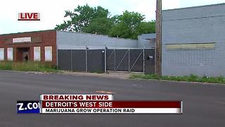 Police bust marijuana grow operation in Detroit