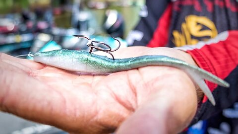 Fluke Baits won't be the deal on Lake Murray for BPT Stage 3