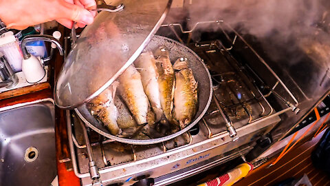 whole fish cook up, survival ep 03