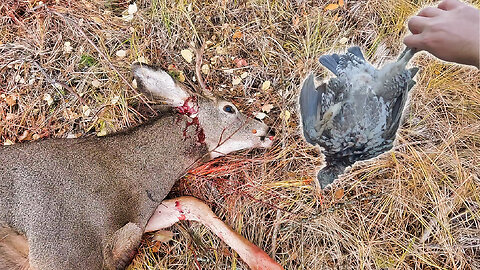 Food for the Family (Grouse and Mule Deer Hunting)