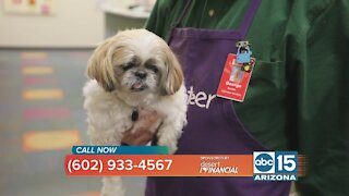 Help keep Animal-assisted Therapy going at Phoenix Children's