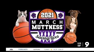 2021 'March Muttness' kicks off Feb. 27