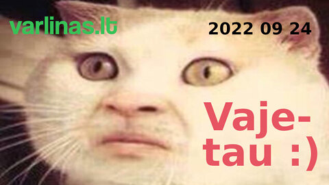 Varlinas tiesiogiai - 2022 09 24 - Vajetau :)
