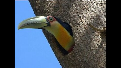 UM DOS MELHORES MOMENTOS QUE A NATUREZA PODE NOS PROPORCIONAR.