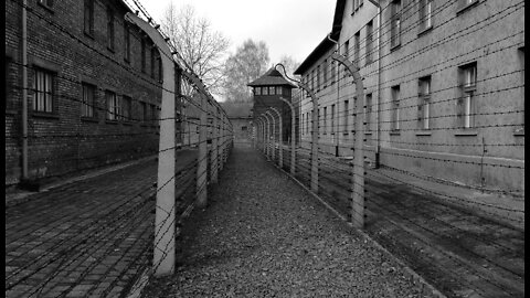 ANNE FRANK'S STEP SISTER CONFIRMS AUSCHWITZ LIBERATION PHOTOS ARE FAKE