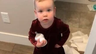 Toddler spreads toilet paper all over the house