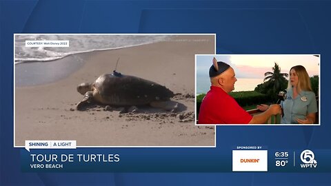 Record breaking turtle nesting season at Disney's Vero Beach Resort