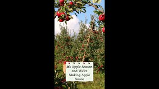 It's Apple Season and We're Making Apple Sauce // Local Produce