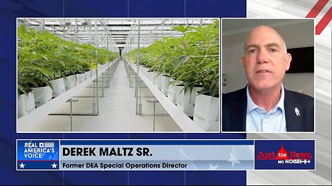 Derek Maltz Sr. says China’s marijuana push in US is attempt to destabilize the country