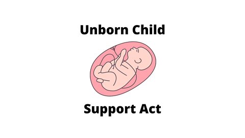 Unborn child support?