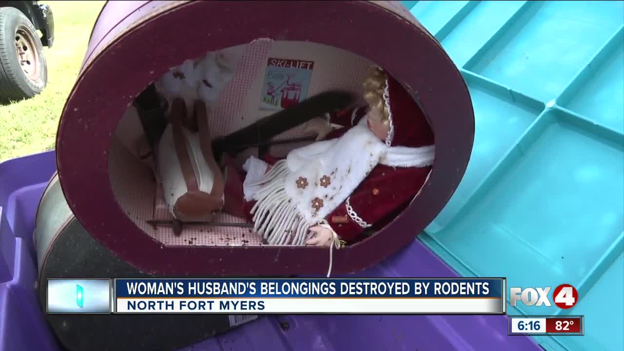 Woman's belongings damaged by rodents inside storage unit