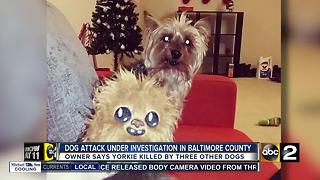Dog attack under investigation in Baltimore County
