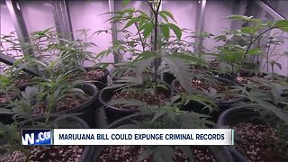 Revised marijuana bill could erase 300,000 criminal convictions