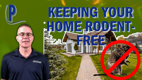 Keeping Your Home Rodent-Free
