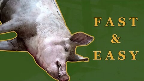 How to remove hair from a Pig - Easier and cleaner than skinning | A Free Range How-To #1