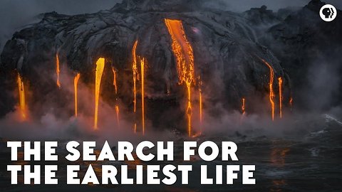The Search for the Earliest Life