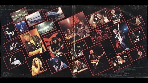 Michael Schenker Group - One Night At Budokan - 1981 - Vinyl