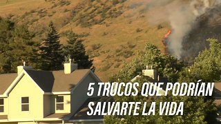 Cómo sobrevivir a un incendio forestal