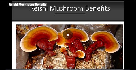 Reishi Mushroom Benefits