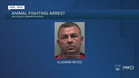 Lee County man arrested for cockfighting in Lehigh Acres