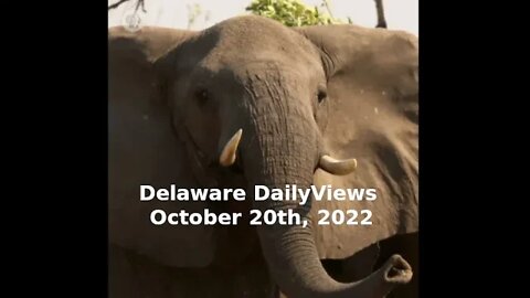 The Strategic Oil Reserve. Delaware DailyViews: October 20th, 2022