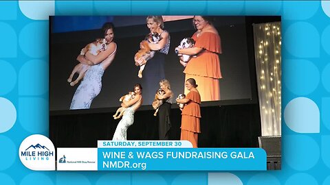 Wine & Wags Fundraising Gala // NMDR
