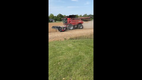 Harvester Combine in action