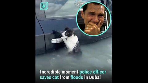Amazing video of cat is being saved by police men.
