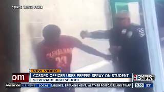 Parent raises questions after student pepper sprayed in viral video