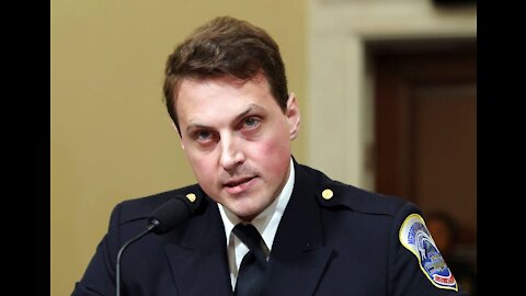 DC Police Daniel Hodges Full January 6 Testimony