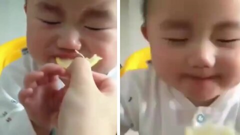 Baby enjoying lemon eating for the first time