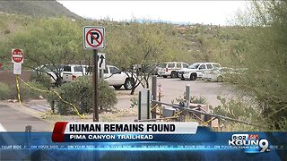 Human remains found on Pima Canyon Trail in Catalina Mountains