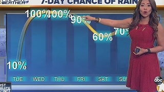 Angelica's Forecast