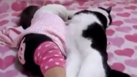 Cute Baby And Cute Cat Sleep In Enjoy Home