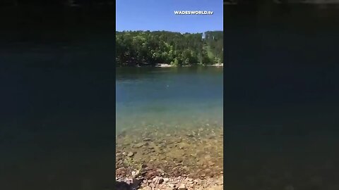 Skipping a rock on Lake Ouachita #shorts #viral #lakeouachita #fyp