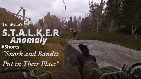 Snork and Bandit Put in Their Place (S.T.A.L.K.E.R Anomaly) #Shorts