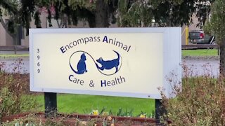 New animal health clinic fills a void in care for rescues