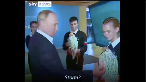 Volunteer Asks For Putin's Approval to Name a Falcon "Storm"